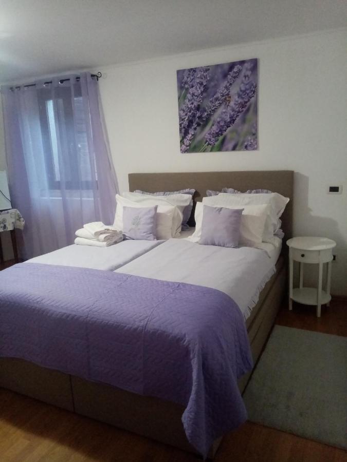 Rooms Serafin Motovun Exterior photo
